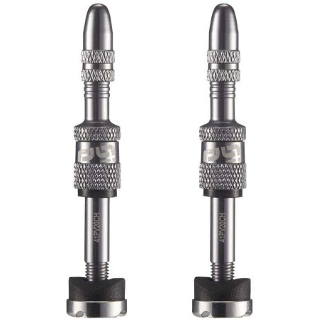 Presta Quickfill | Tubeless Valves | Gen2 | 16-24mm Depth | 2 Pieces | Silver