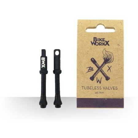 BWX Tubeless Valves