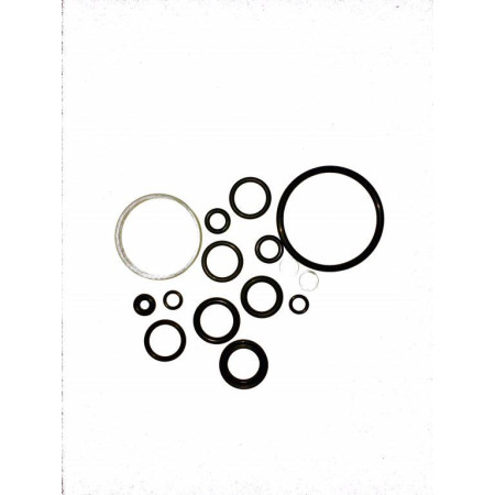 Topaz Damper Rebuild Kit