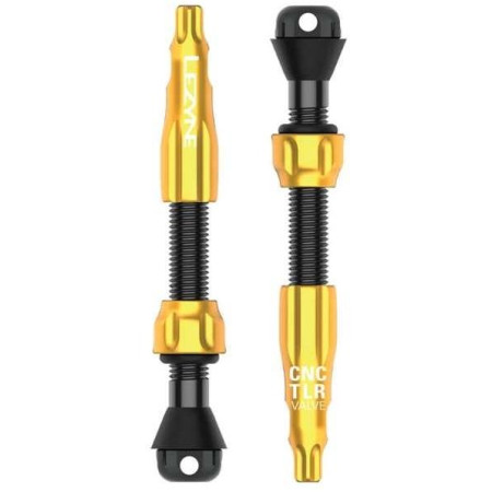 CNC TLR VALVE PRO - 44MM Gold