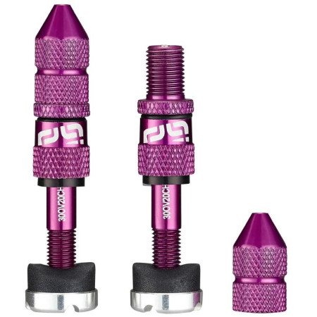 Schrader Quickfill Tubeless Valves | Gen2 | 23-31mm Depth | 2 Pieces | Eggplant