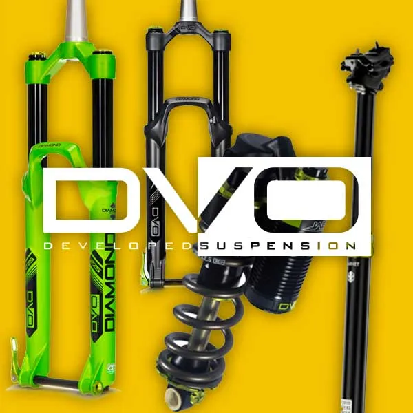 DVO